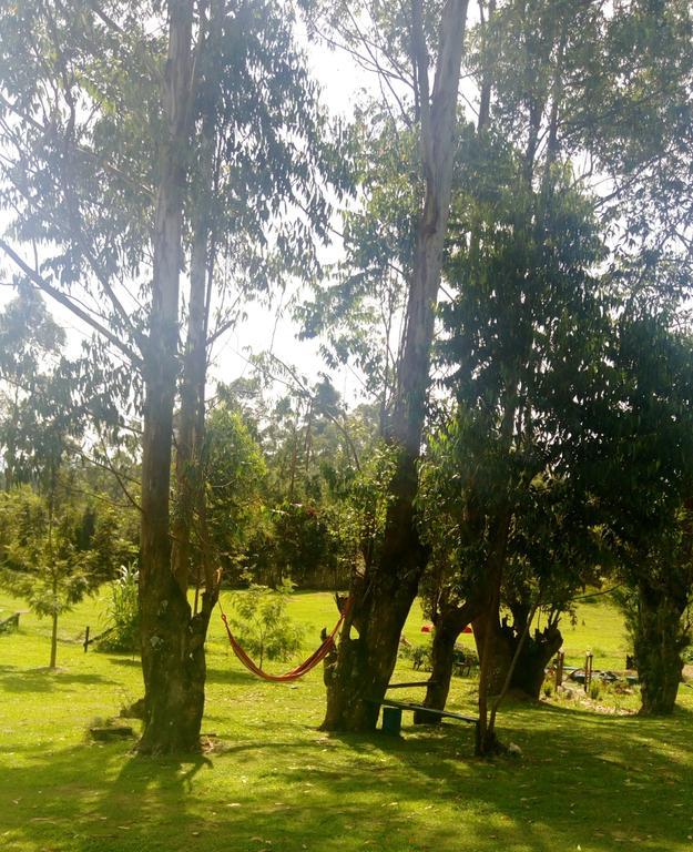 Kalitusi Nature Resort Fort Portal Exterior photo